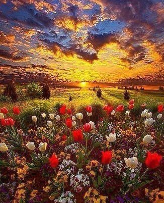 закат 2 - оригинал