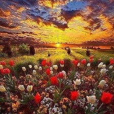 Схема вышивки «закат 2»