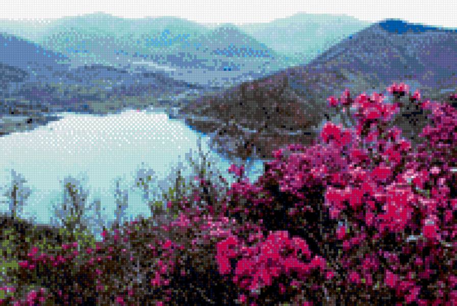 Багульник водохранилище - предпросмотр