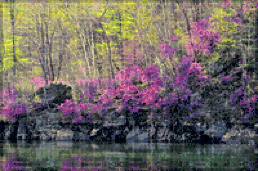 багульник на сопках - предпросмотр