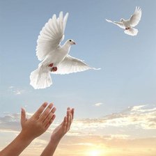 Схема вышивки «голуби мира»