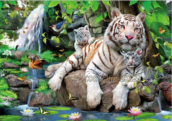 Белый тигр - тигры - оригинал