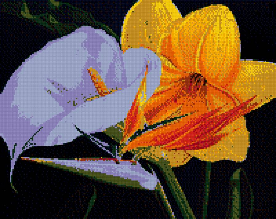 цветы для Оли - цветы - предпросмотр