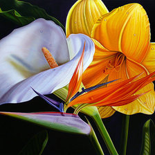 Схема вышивки «цветы для Оли»