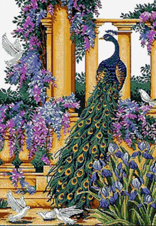 Павлин в саду-1 - павлин, сад, цветы, птицы, парк - предпросмотр