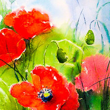 Схема вышивки «акварельные маки»