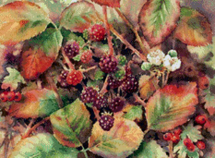 Ежевика - предпросмотр