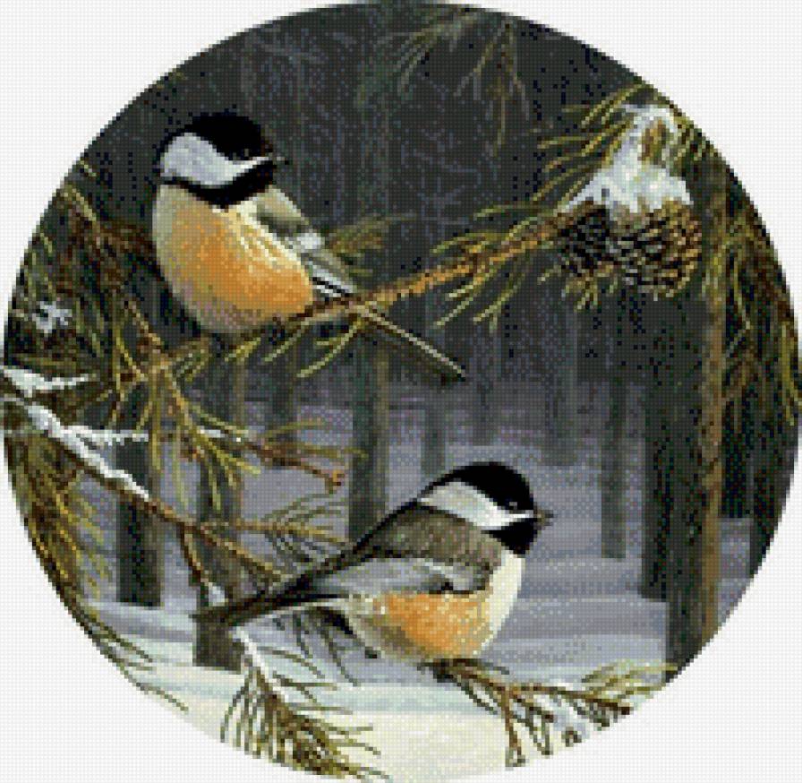 парочка - птички, зима, еловая веточка, шишки - предпросмотр