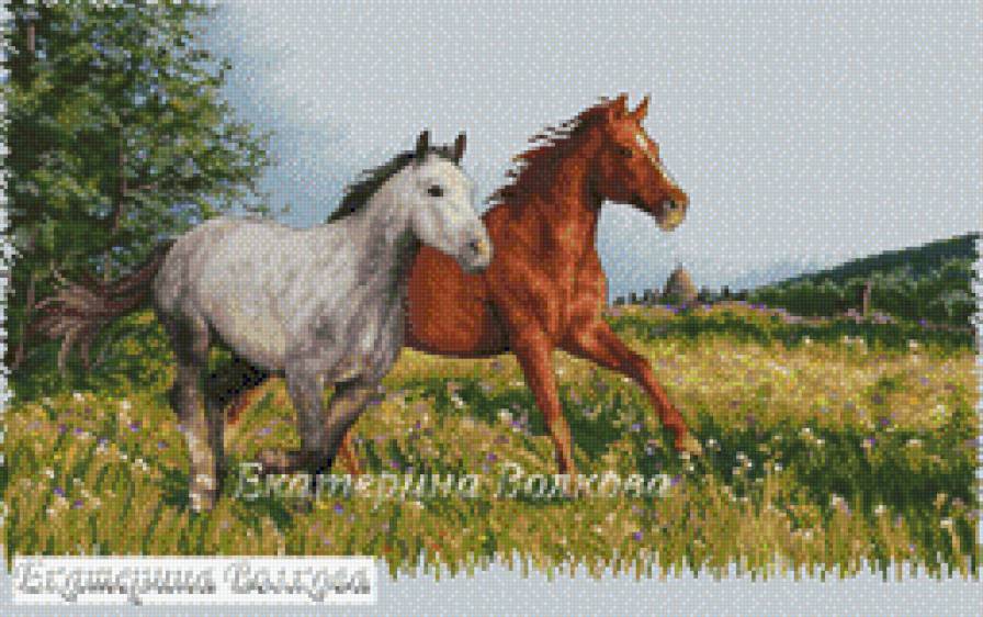 бягащи коне - предпросмотр
