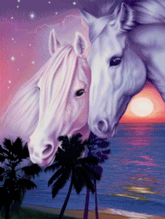 Он и она - пальмы, море, лошади, берег - предпросмотр