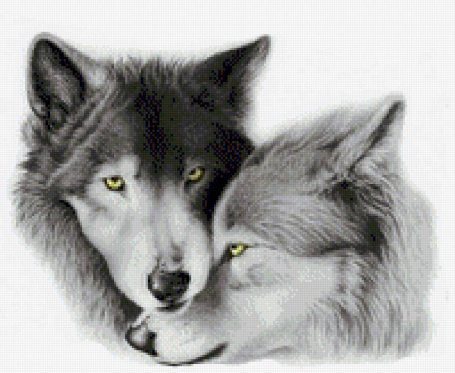Волчья семья - волки, семья - предпросмотр