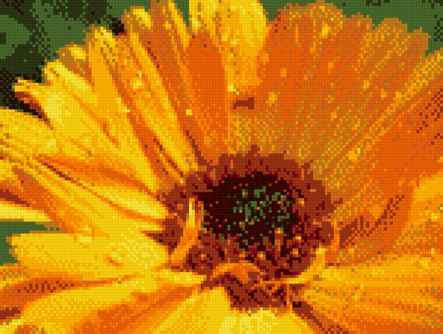 Цветок - ромашка - предпросмотр