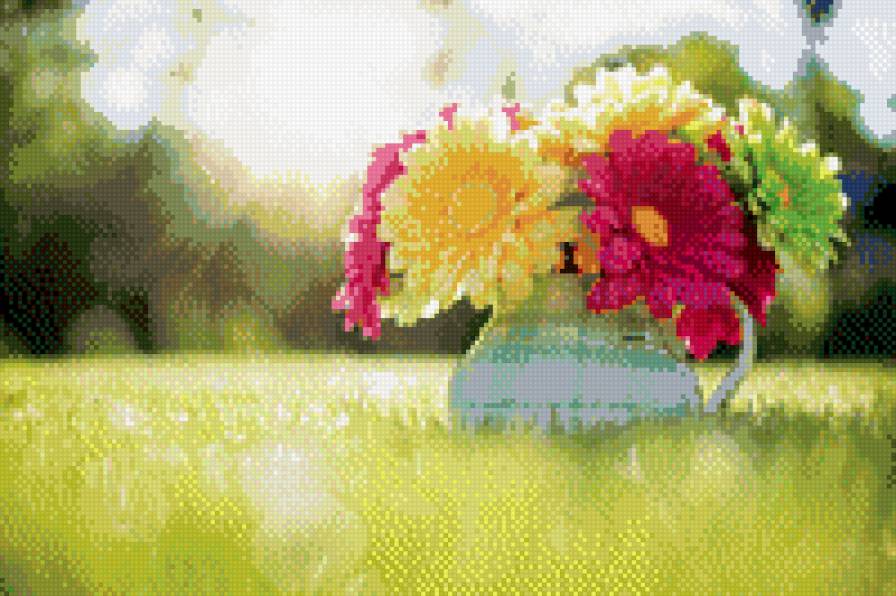 Поляна Герберы - предпросмотр