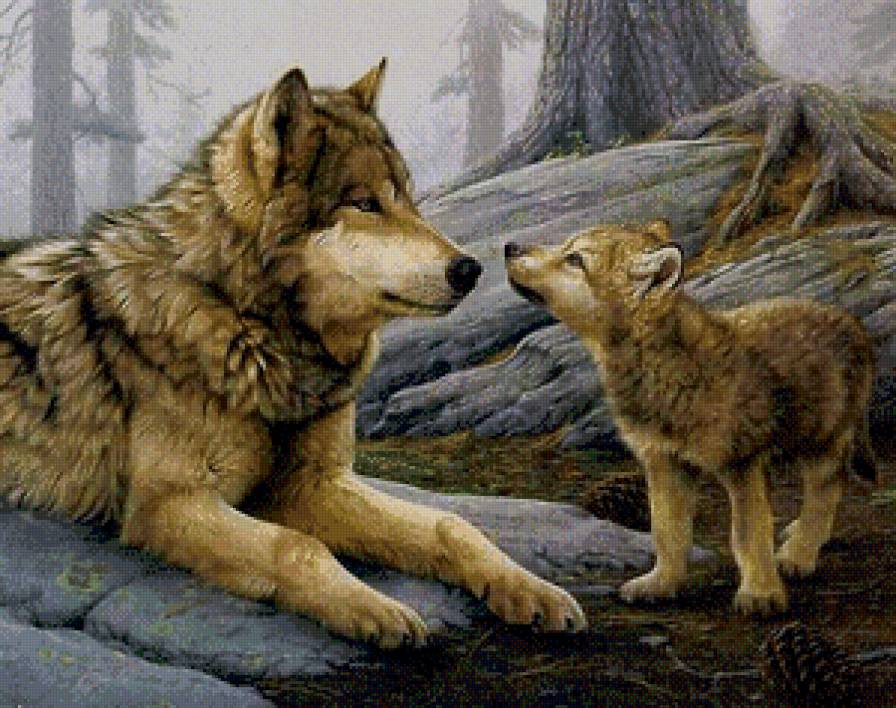 в мире животных - животные, волки - предпросмотр