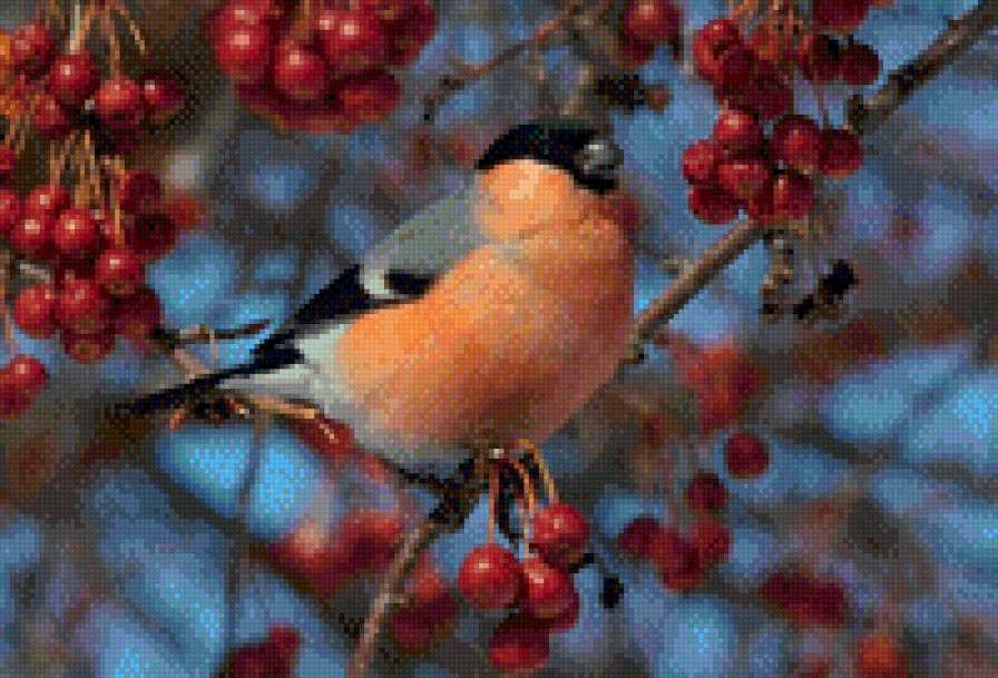 снегирь - снегирь, снег, зима, рябина - предпросмотр