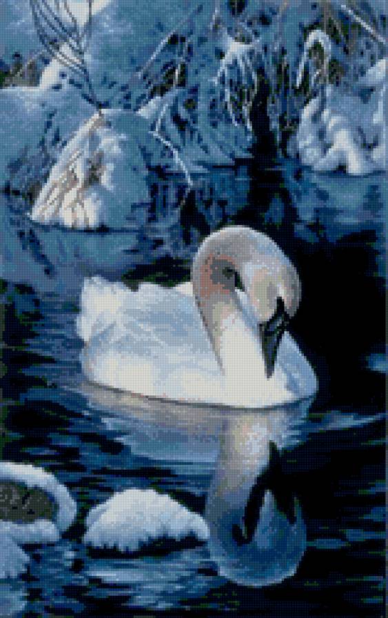 лебедь - птицы - предпросмотр