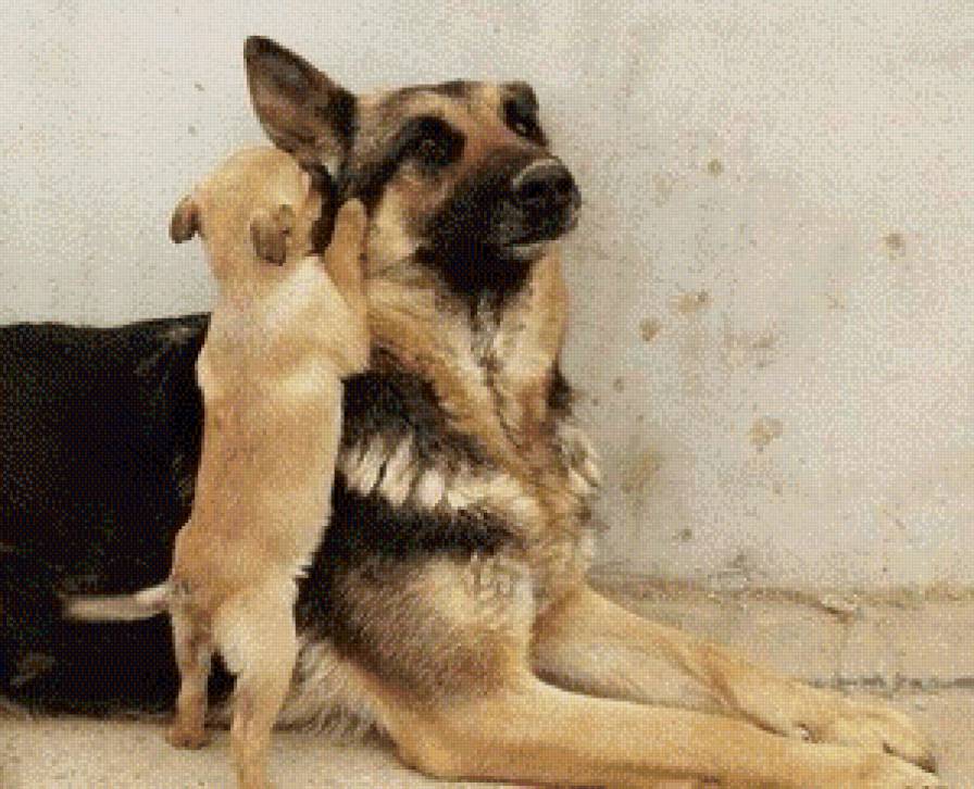 серия "собаки" - животные. собаки - предпросмотр