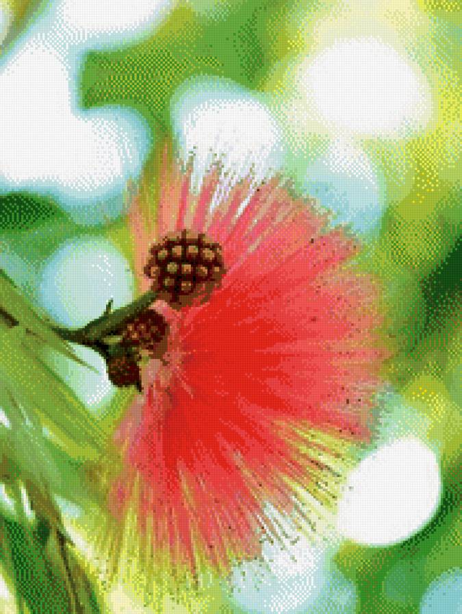 №997068 - предпросмотр