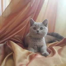 Схема вышивки «№997349»