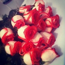 Схема вышивки «№997429»