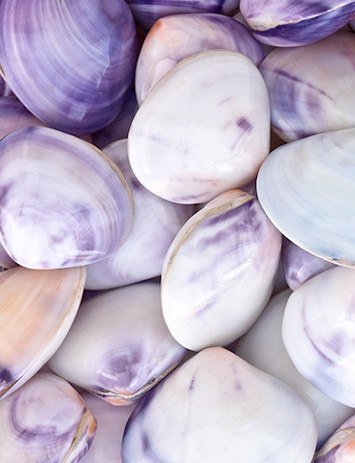 воспоминание о море2 - ракушки, море - оригинал