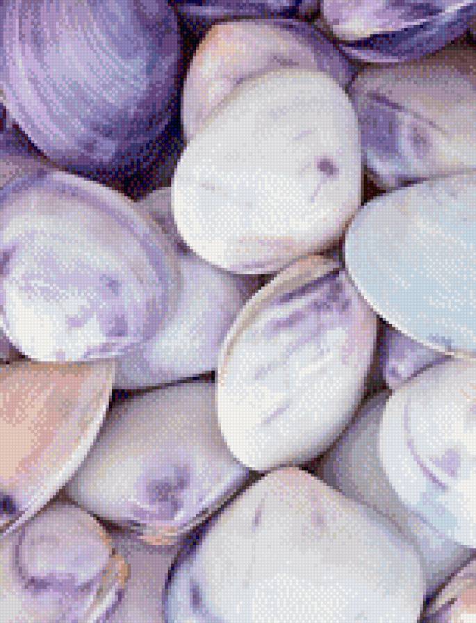 воспоминание о море2 - море, ракушки - предпросмотр