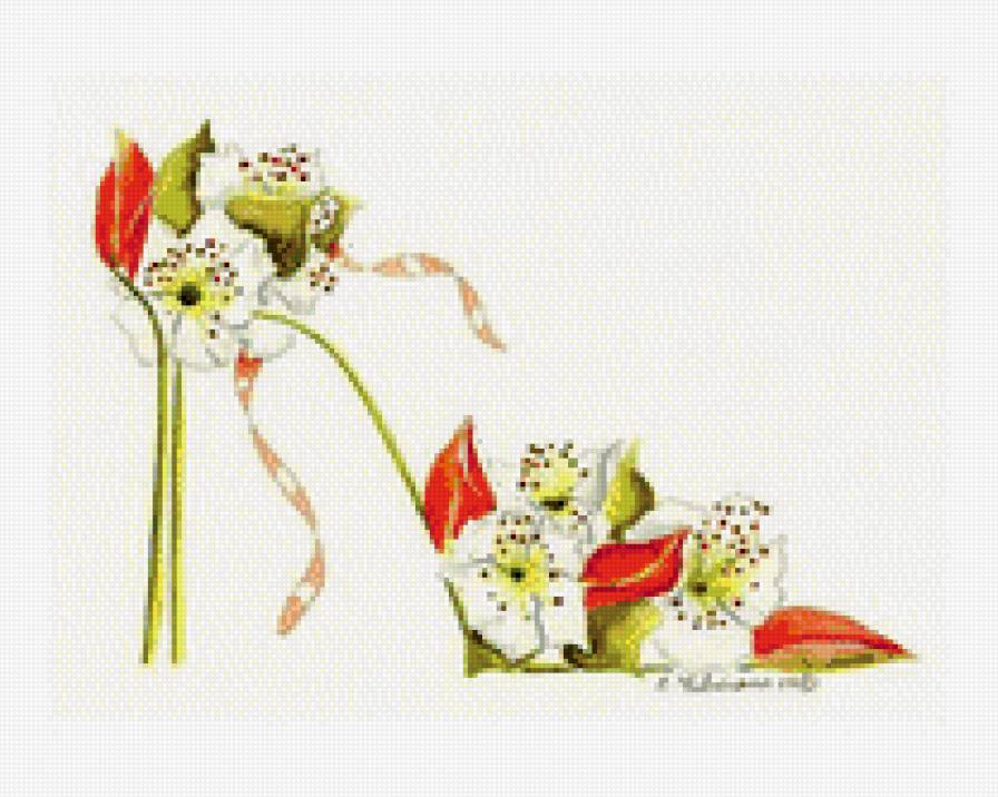 Туфелька5 - предпросмотр