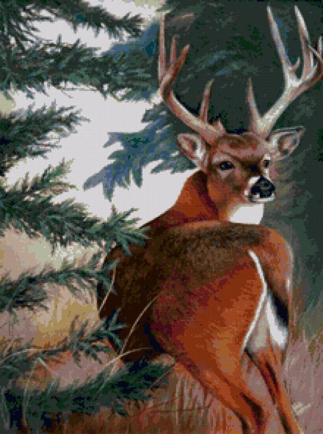 №997556 - предпросмотр