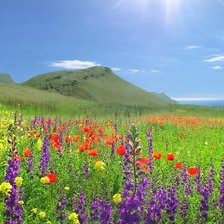 Схема вышивки «альпийские луга»