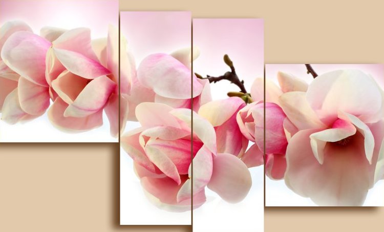 Магнолия Полиптих - оригинал