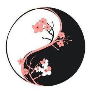 инь янь - инь янь - оригинал