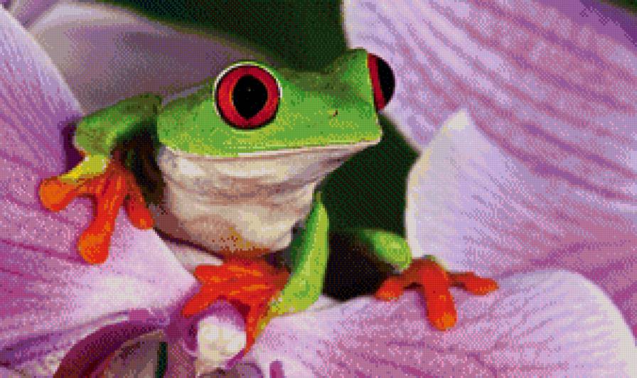 красотка - предпросмотр