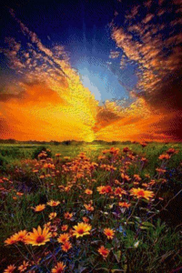 12 - предпросмотр