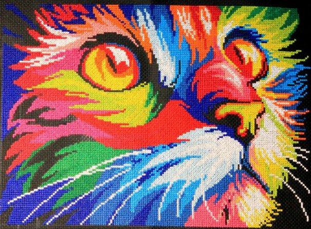 Цветной котик - цветной котик, кот, котик - оригинал