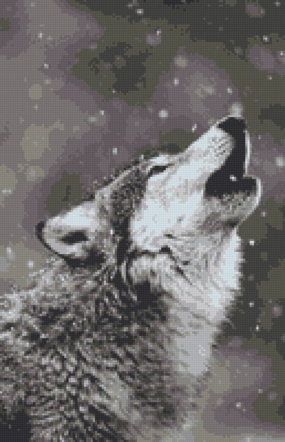 Волк - предпросмотр