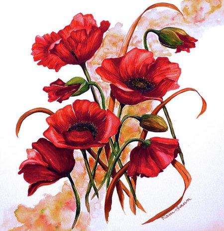 маки - маки, цветы - оригинал