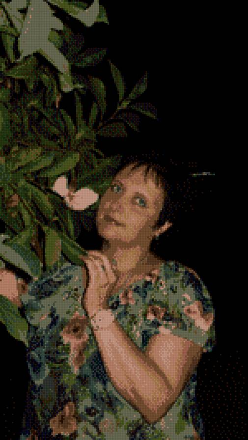 №998798 - предпросмотр