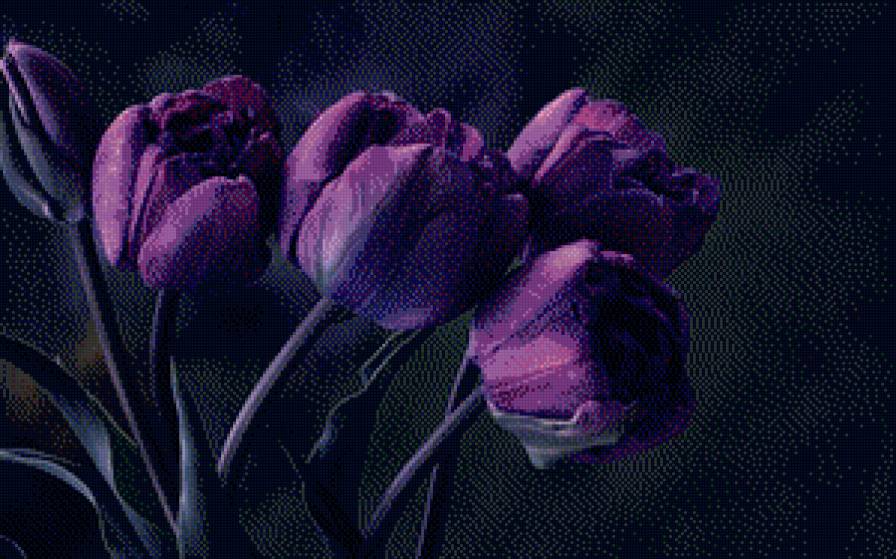 тюльпаны - тюльпаны, цветы - предпросмотр