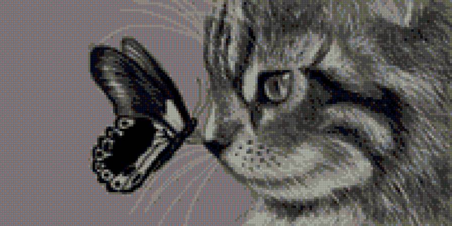 котёнок и бабочка - котенок и бабочка, бабочка, котенок - предпросмотр