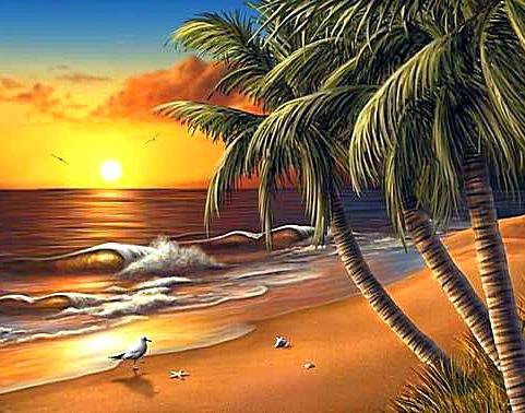 №999309 - оригинал