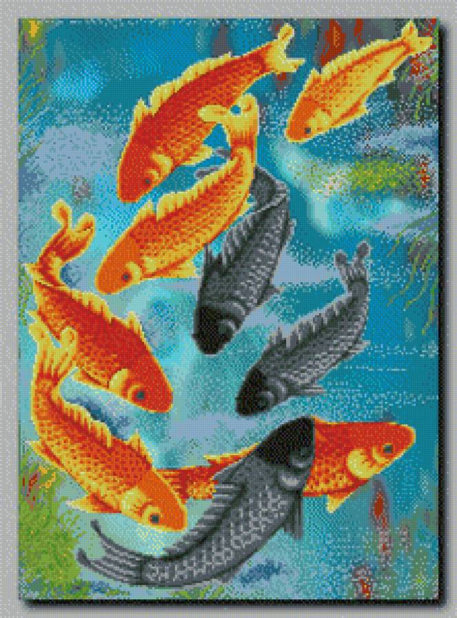 9 карпов - предпросмотр