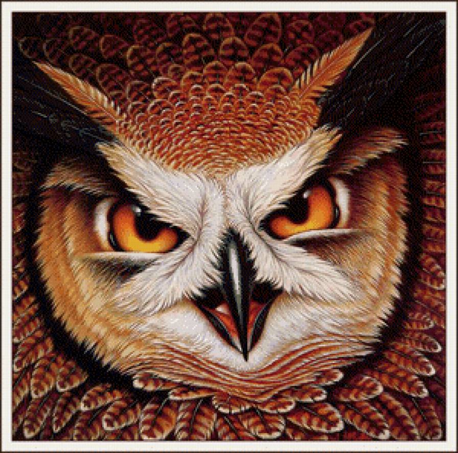 филин - птица, сова, филин - предпросмотр