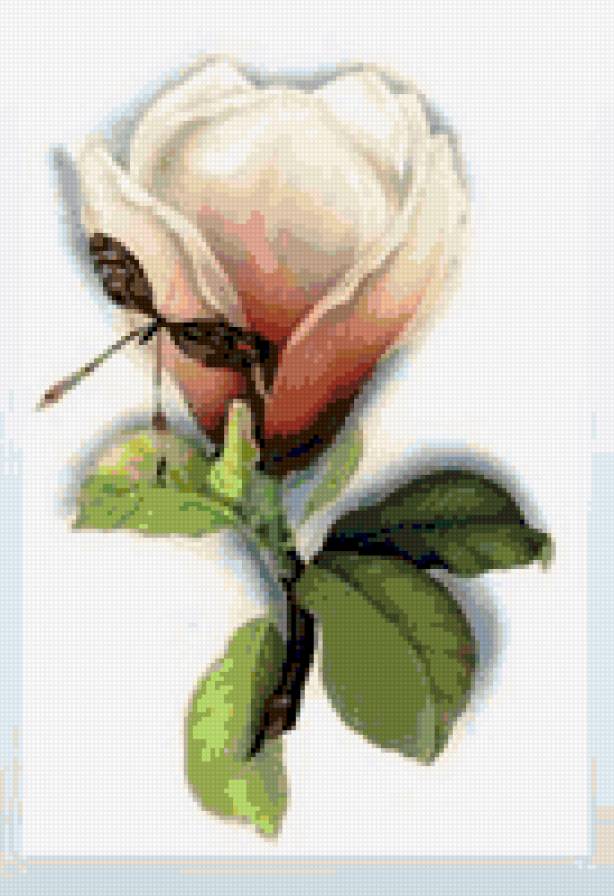 цветочек - предпросмотр