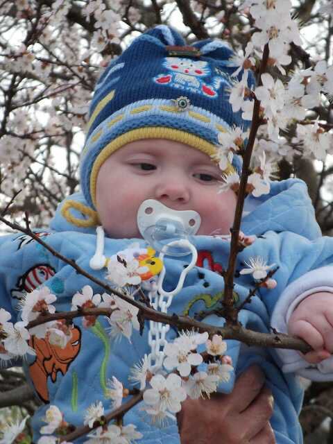 мое сокровище - дети - оригинал