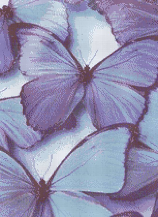 Бабочки - бабочки - предпросмотр