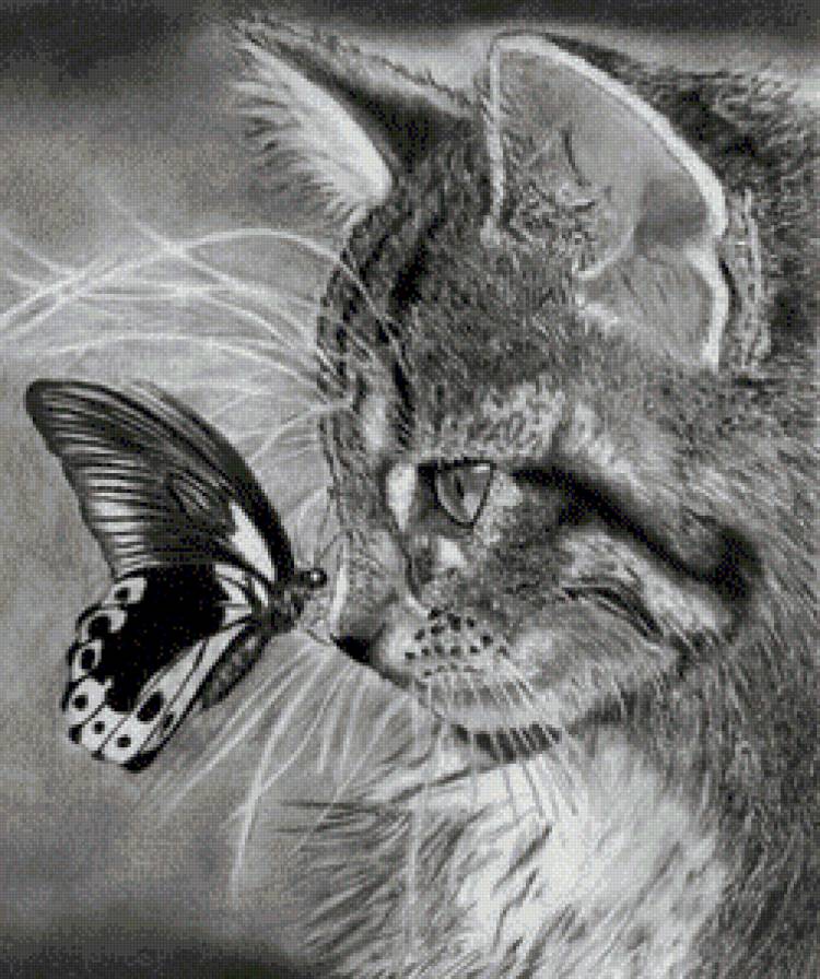 Котенок с бабочкой - бабочка, кошки, монохром, животный мир - предпросмотр