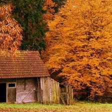 Схема вышивки «домик в лесу»