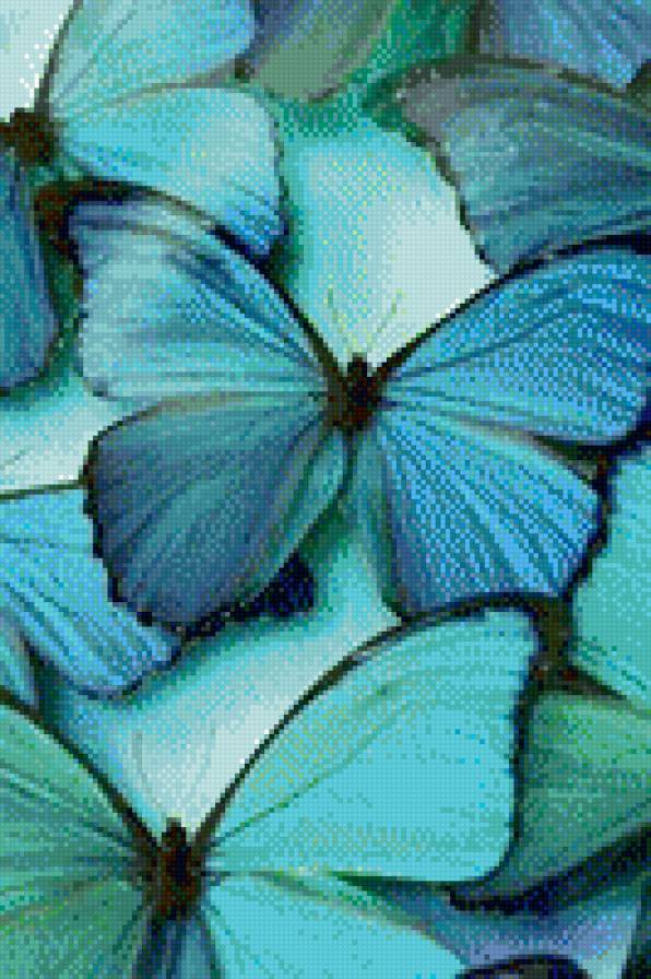 №1001705 - бабочки - предпросмотр