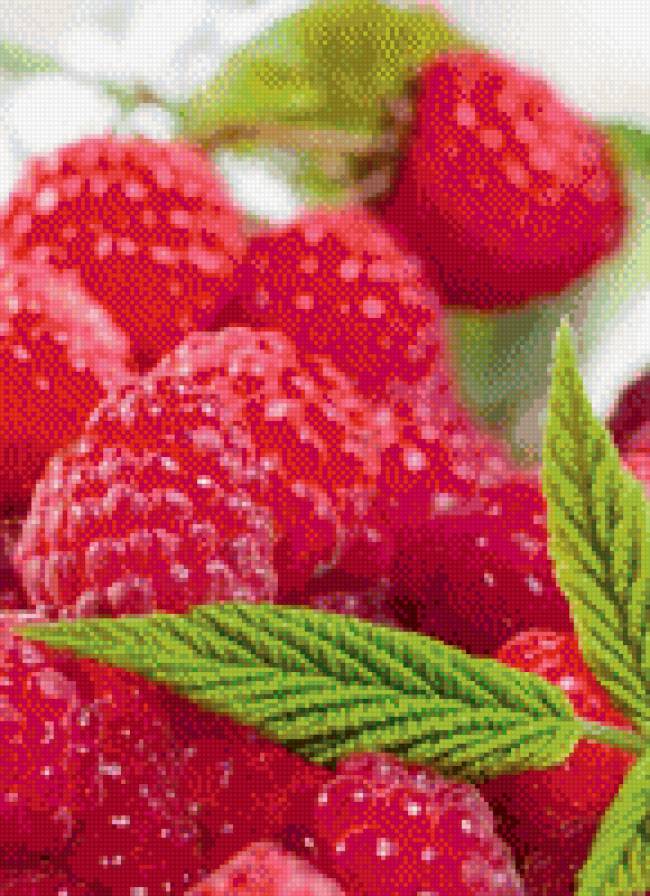№1001763 - ягоды, малина - предпросмотр