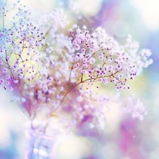 Схема вышивки «№1001766»